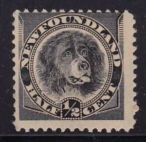 Album Treasures Newfoundland Scott # 58 1/2c Newfoundland Dog Mint NH