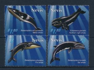 [34997] Nevis 2010 Marine Life Whales MNH