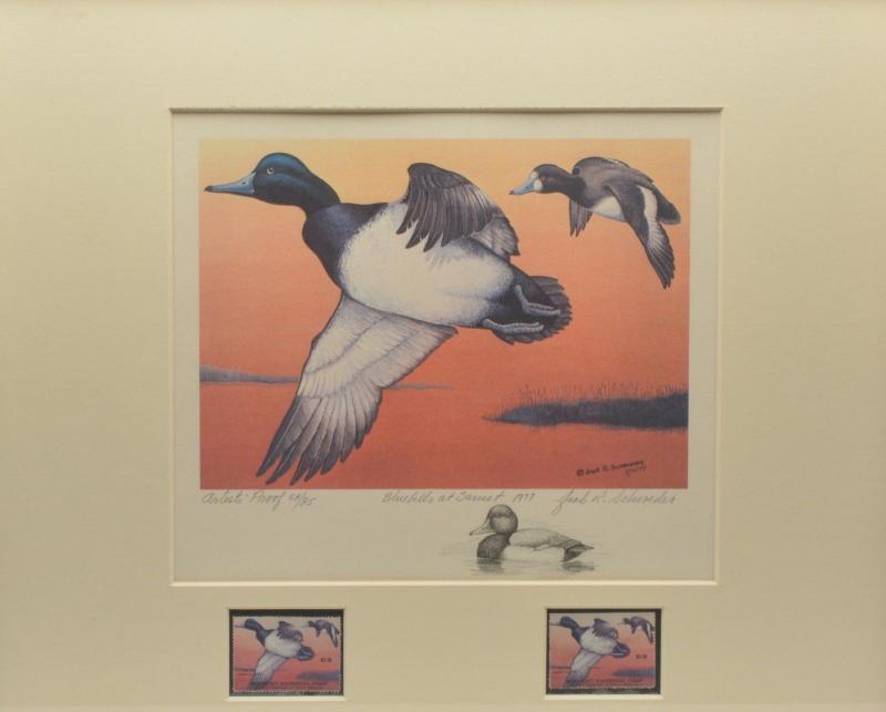 1977 Artist Proof MD STATE WATERFOWL PRINT & REMARQUE by;  ARTIST Jack Schroeder 