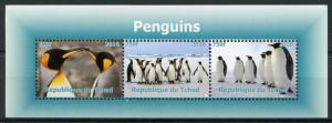 Chad Birds on Stamps 2016 MNH Penguins Emperor Penguin 3v M/S