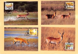 Botswana WWF World Wild Fund for Nature maxicards Red Lechwe antelope
