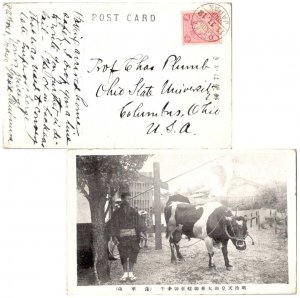 Japan 4s Imperial Crest c1906 Osaka, Japan PPC (Man Leading an Ox) to Columbu...