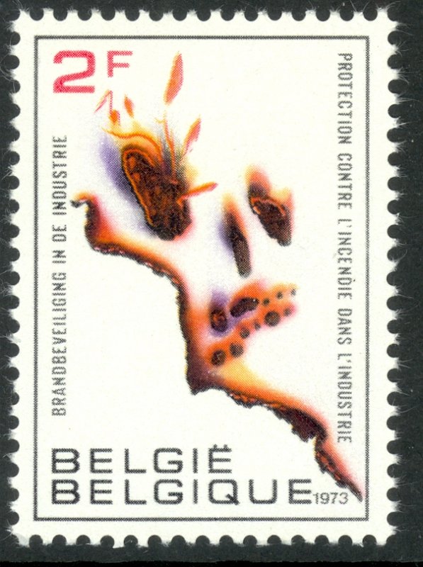 BELGIUM 1973 Industrial Fire Prevention Issue Sc 837 MNH