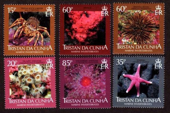 Tristan da Cunha # 826-831 Mint NH Marine Life!