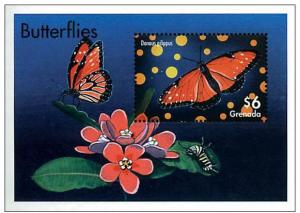 GRENADA SHEET BUTTERFLIES INSECTS