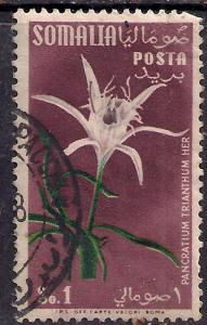 Somalia 1955 1s Flowers used stamp SG 289 ( E1062 )