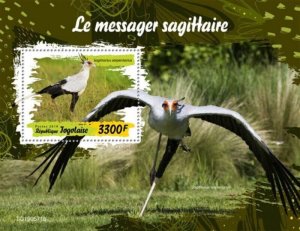 Togo - 2019 Secretarybird on Stamps - Stamp Souvenir Sheet - TG190571b