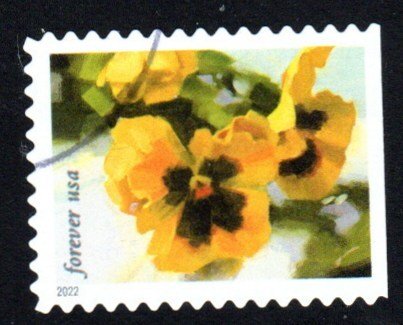 New 2022 - (60) - Snowy Beauty - 6 of 10 - USED Single - Off Paper
