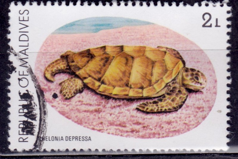 Maldives, 1980, Turtle Conservation Campaign, 2L, used*