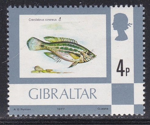 Gibraltar #345 single F-VF Mint NH ** Fish