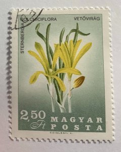 Hungary 1967 Scott 1816 used - 2.50 Ft,  Flowers of the Carpathian Basin
