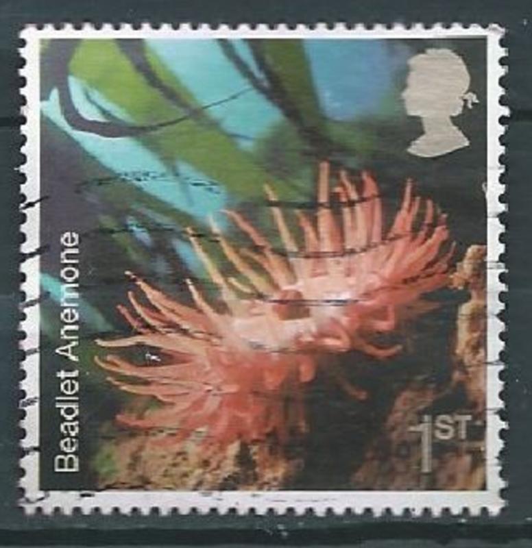 GROSSBRITANNIEN GRANDE BRETAGNE GB 2007 SEALIFE: BEADLET ANEMONE 1ST  SG 2701...