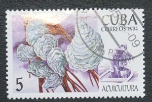 CUBA Sc# 3571  MARINE LIFE fish ocean sea 5c 1994  used / cto