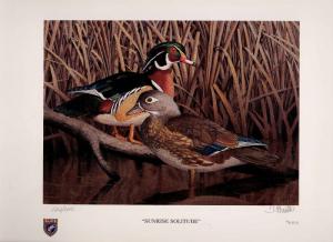 ILLINOIS #22 1996 STATE DUCK STAMP PRINT WOOD DUCKS by Tom Hirata 2 stamps