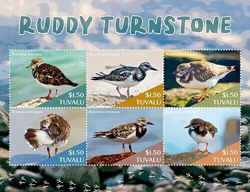 2023 06- TUVALU - RUDDY TURNSTONE       6V  complet set    MNH **