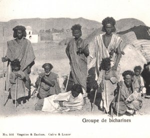 EGYPT/SUDAN Postcard Ethnic PC *Bicharines* BISHARI TRIBE Unused {samwells}KA142