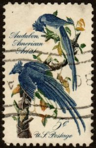 United States 1241 - Used - 5c Audubon / Columbia Jays (1963)