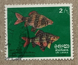 Sri Lanka 1972 2/ Tropical Fish, used. SEE NOTE. Scott 476, CV $4.50. SG 597