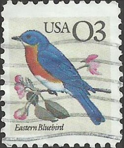 # 2478 USED EASTERN BLUEBIRD    