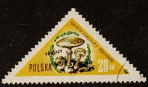 Poland  #842   CTO  CV $2.40