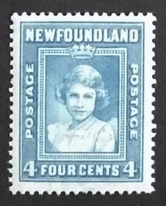 Newfoundland 247 VF MNH