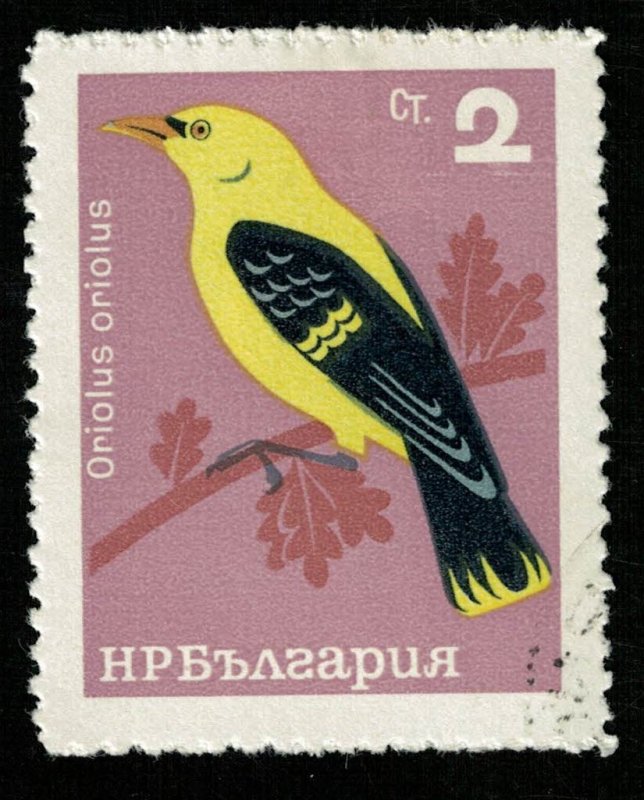 Bird, 2ct (RT-160)