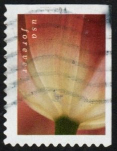 SC# 5777 - (63c) - Tulip Blossoms - 1 of 10 - Used  BKLT Single - Off Paper