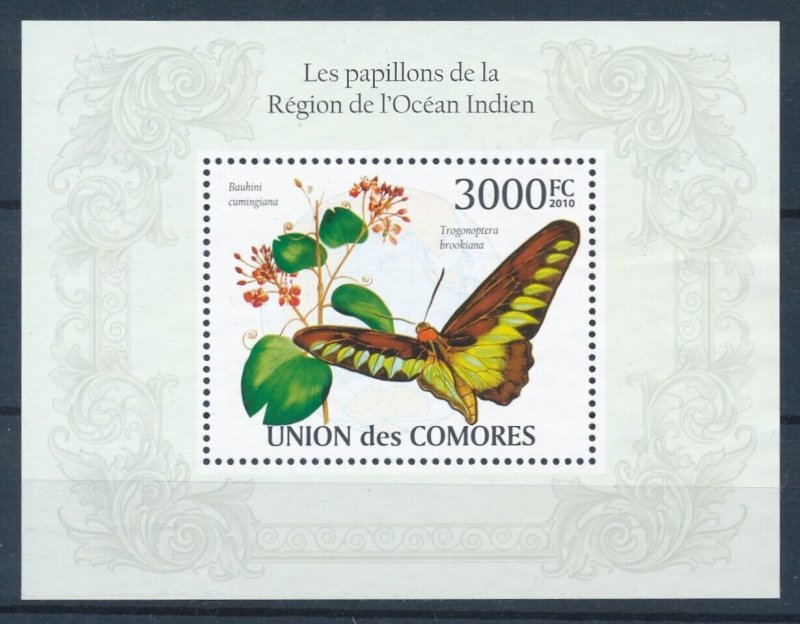 [119070] Comoros 2009 (2010) Insect butterfly Souvenir sheet MNH