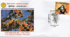 India 2011 Palash - State Flower Tree Plant Orchid Birds  Special Cover Inde ...