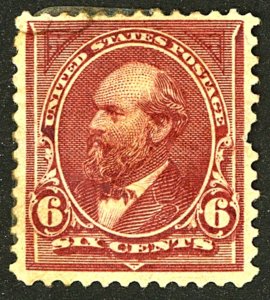 U.S. #224 MINT OG HR