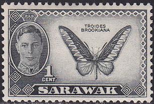 Sarawak 180 Butterfly Troides Brookiana 1950