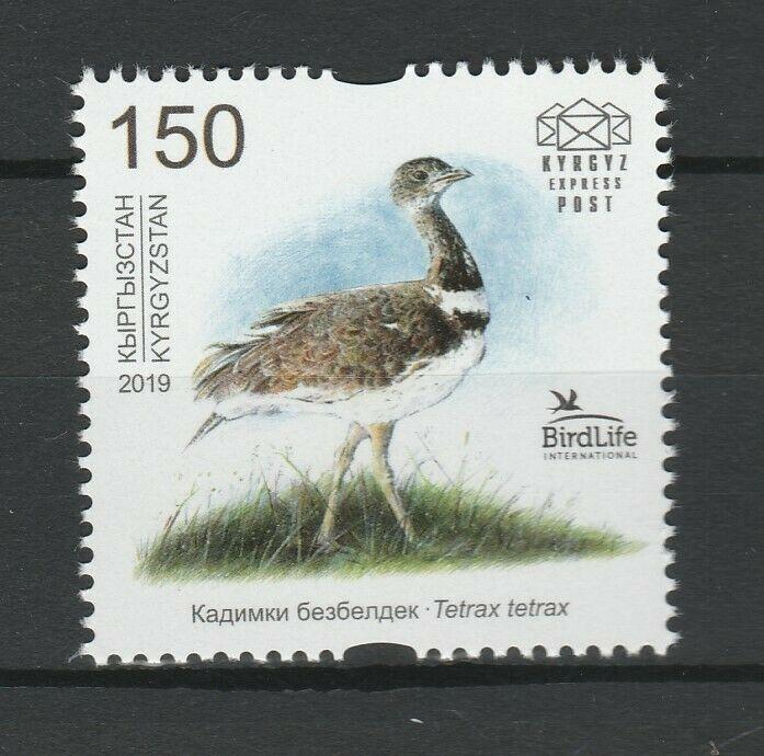 Kyrgyzstan 2019 Birds MNH stamp