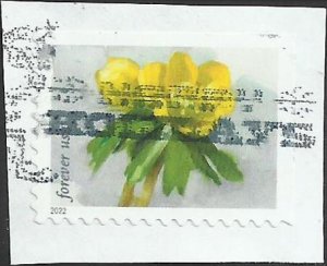 # 5736 Used Snowy Beauty