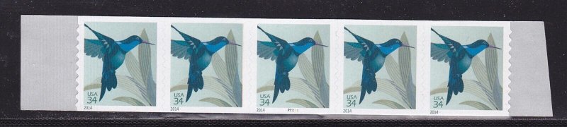 PNC5 34c Hummingbird P11111 US 4858 MNH F-VF