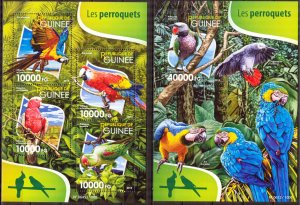 Guinea 2015 Birds Parrots Sheet + S/S MNH