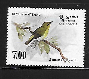 Sri Lanka 1988 Birds Sc 877 MNH A1415