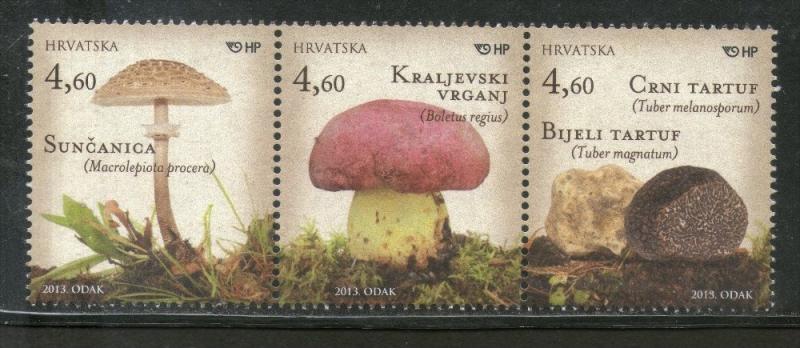 Croatia 2013 Mushroom Fungi Plant Tree Flora 3v Setenant Strip MNH # 2054