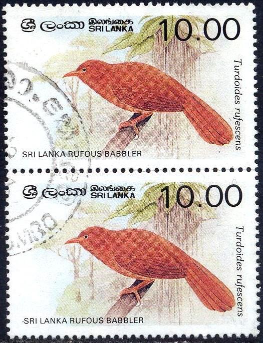 Bird, Sri Lanka Rufous Babbler, Sri Lanka SC#839 used, pair