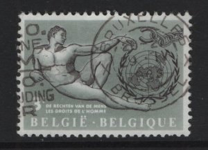 Belgium    #585 used   1962  Adam by Michelangelo . UN Human Rights  3fr