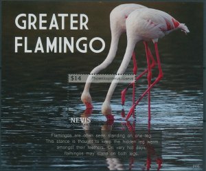 Nevis 2021 MNH Birds on Stamps Greater Flamingo Flamingos 1v S/S