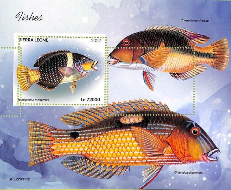 A9343 - SAW LION - MISPERF ERROR Stamp Sheet - 2022 - Fishes, Marine life-