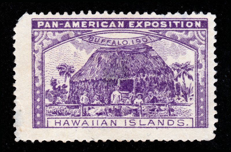 POSTER STAMP 1901 PAN AMERICAN EXPOSITION HAWAIIAN ISLANDS PURPLE MNG (THIN)