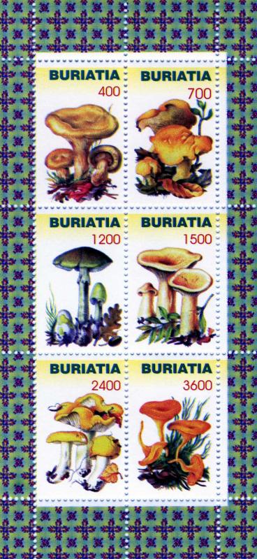 Buriatia Mushrooms-Funghi Sheet (6) Perforated mnh.