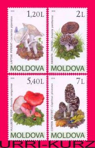 MOLDOVA 2010 Nature Flora Mushrooms Fungi 4v 665-668 Mi 694-697 MNH