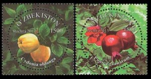 2015 Uzbekistan 1131-32 Fruits of Uzbekistan 5,00 €