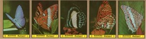 Manama 1972 Butterflies Strip of 5 Imperforated MNH Mi.#962/D962B