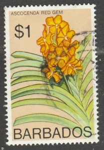 Barbados      408      (O)    1974   ($$)