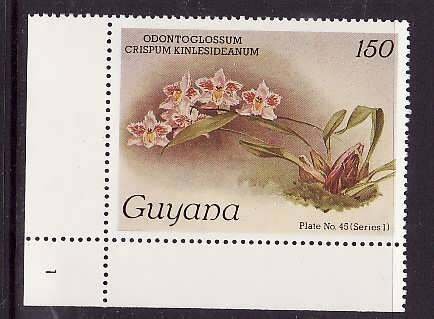 Guyana-Sc#1080a- id9-unused NH 150c-Flowers-Orchids-wmk Lotus Bud Multiple-1985-