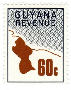 (I.B) British Guiana (Guyana) Revenue : Duty Stamp 60c