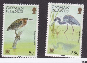 CAYMAN ISLANDS # 594-595 VF-MNH 5cts & 25cts BIRDS CAT VALUE $10